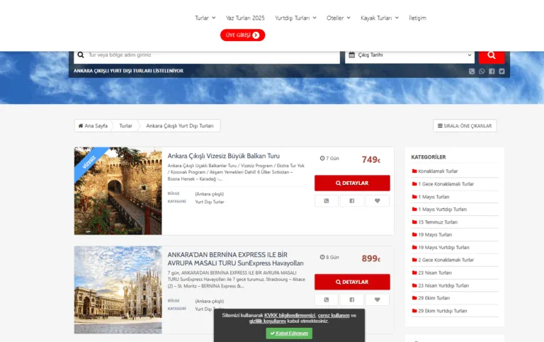 Tur Şirketi SEO Hizmeti