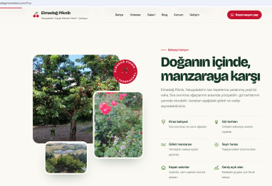 Elmadağ Mesire Alanı Web Tasarım ve SEO Projesi